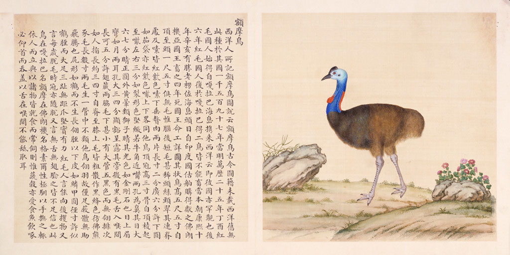 Chinese text on the left; a drawing of an emu in profile on the right