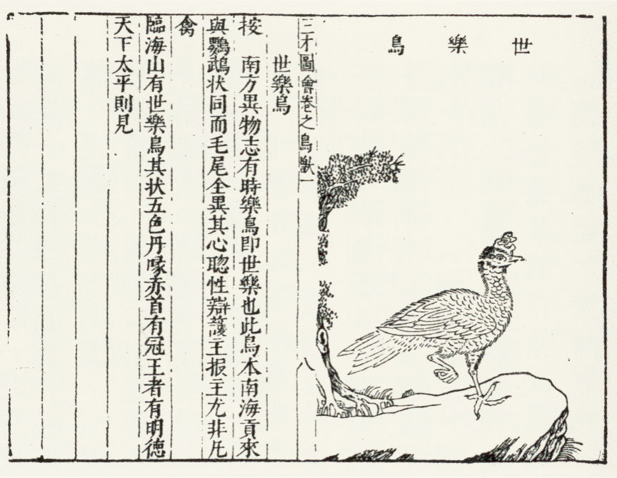 Chinese text on the left; on the right, a line drawing of a bird standing on one leg