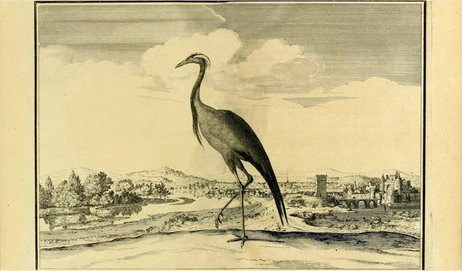 Detailed drawing of a crane facing left, river and castle in the background