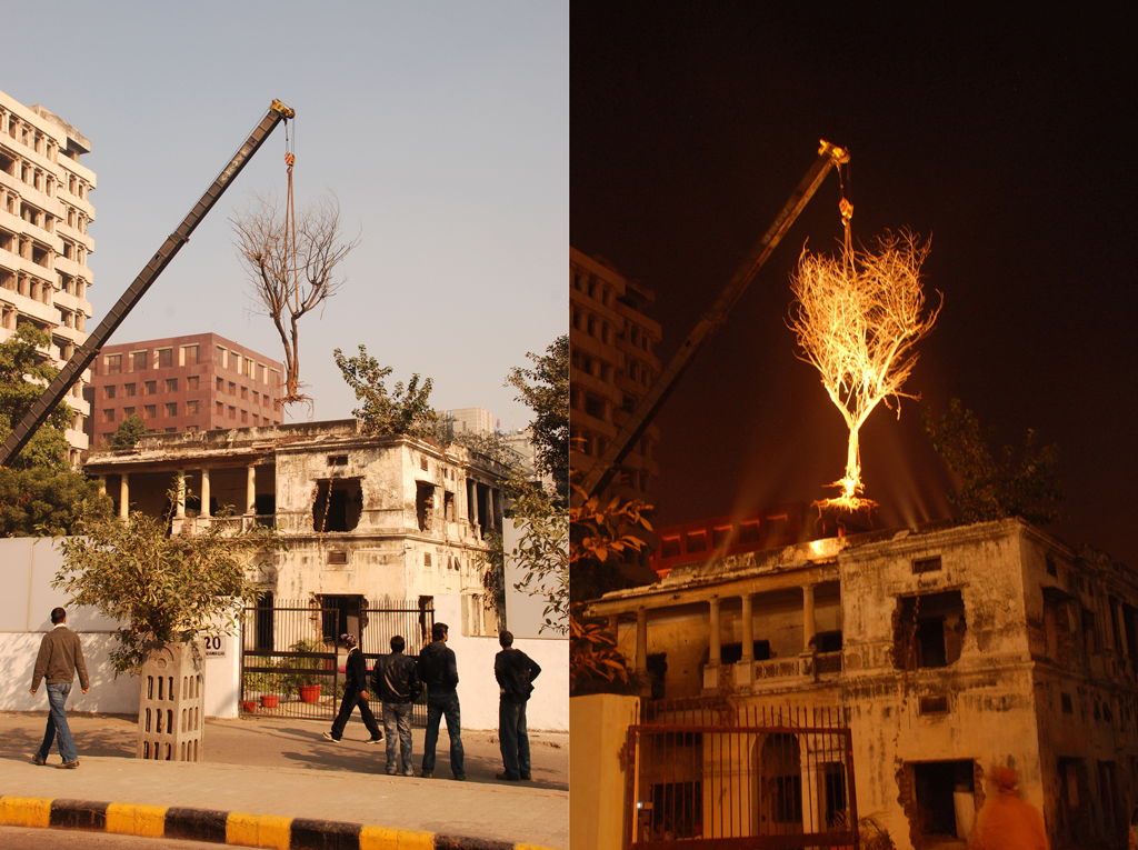 crane suspending an uprooted tree over a building; daytime on the left, nighttime on the right