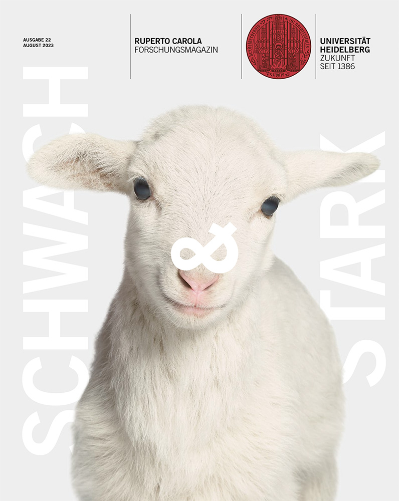 Cover of 'Nr. 22 (2023): Schwach & Stark'