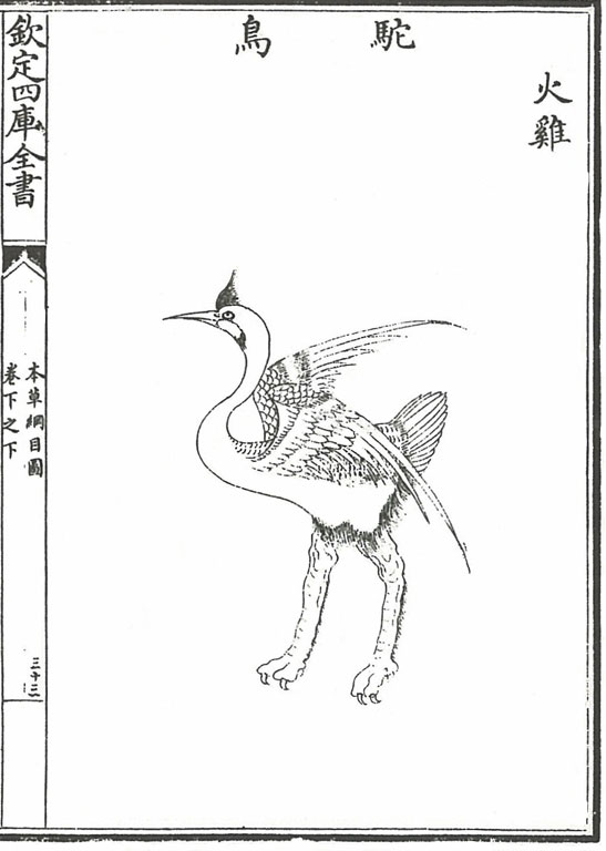 Black on white line drawing of a crane (or emu?) with improbably muscular legs