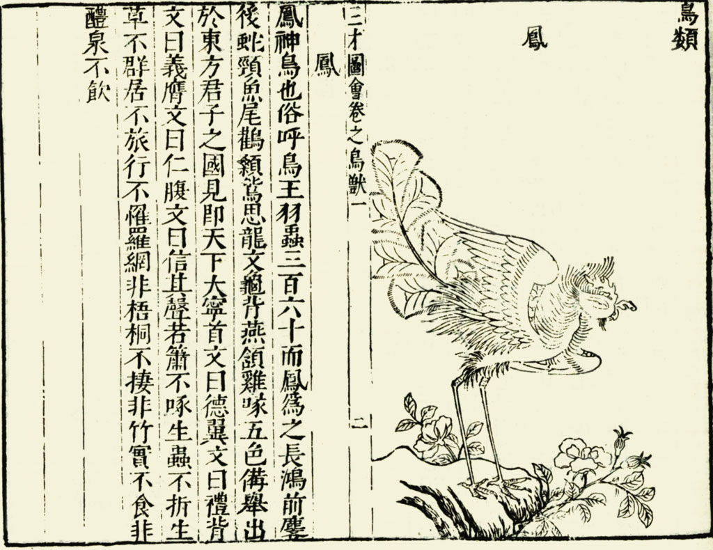 On the left, Chinese text, on the right, a line drawing of a similarly hybrid bird