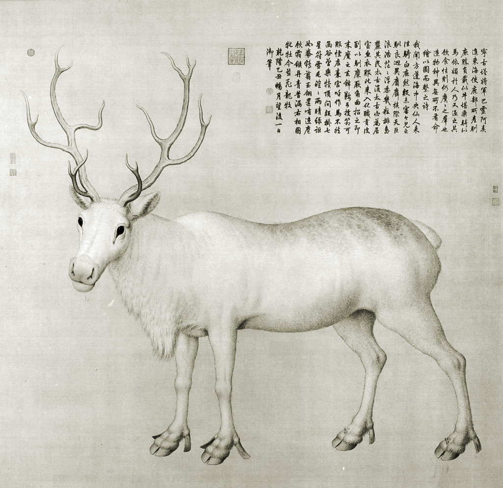 White reindeer shown from the side, looking toward the viewer; a block of Chinese text in the upper-right corner